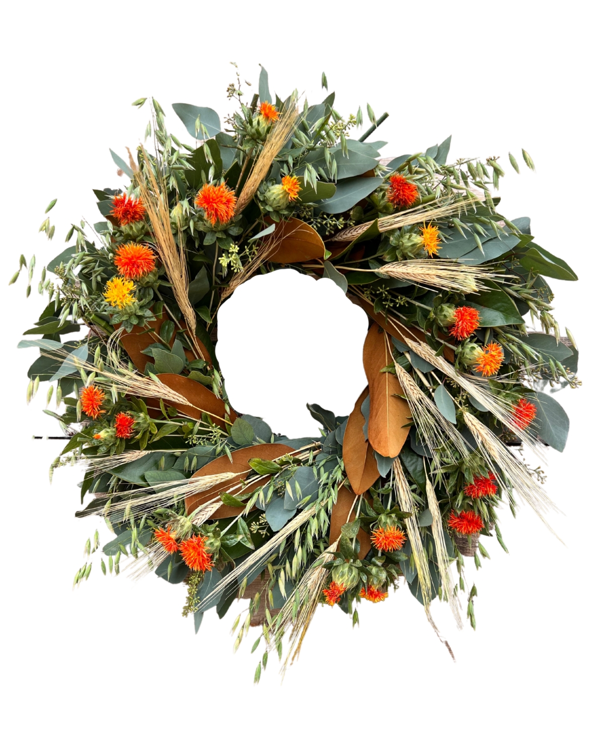 Fresh Real Seeded Eucalyptus, Oats, Safflower Dried Wheat and Magnolia Wreath