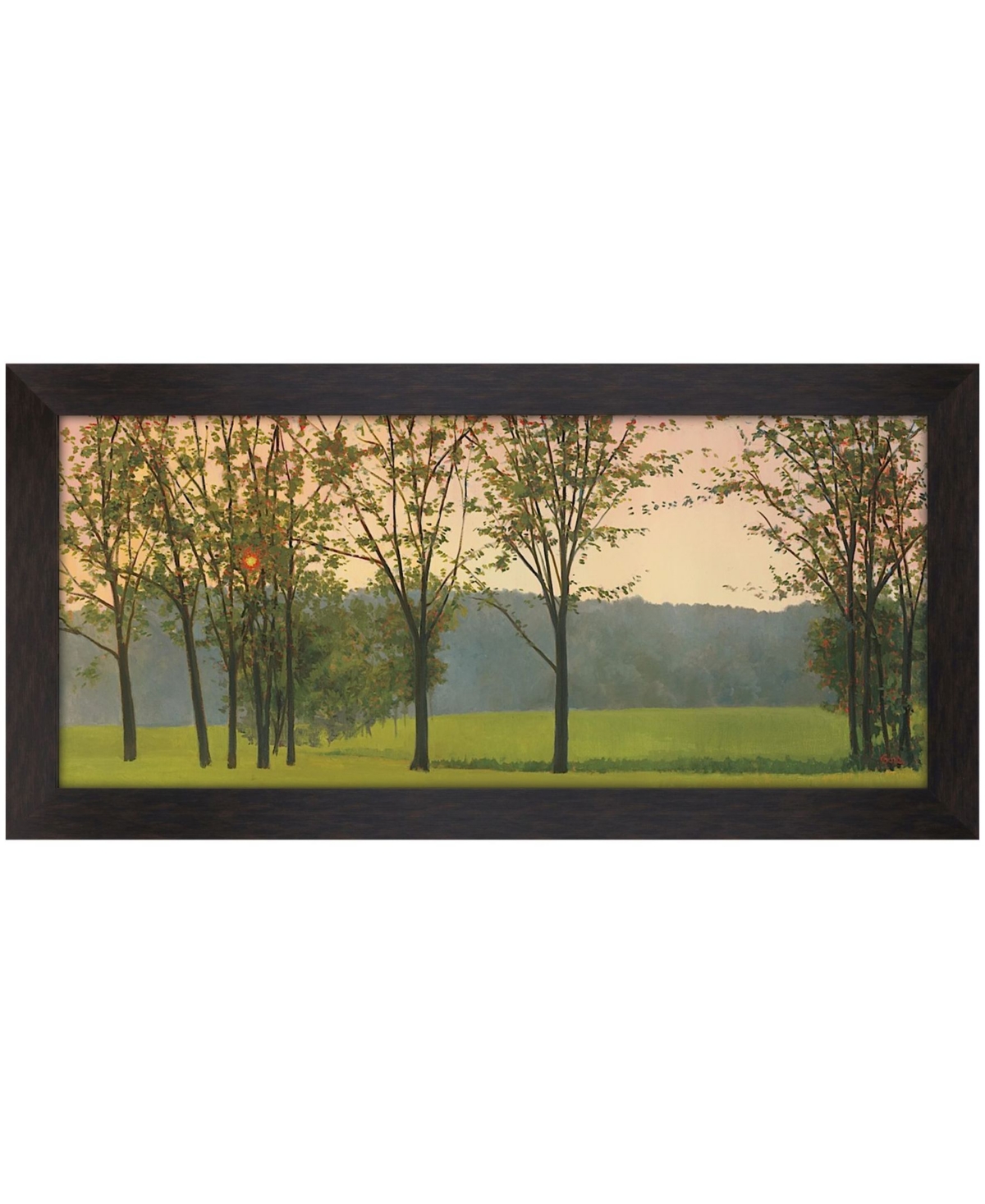 Paragon Picture Gallery Hazy Woodstock Framed Art In Green