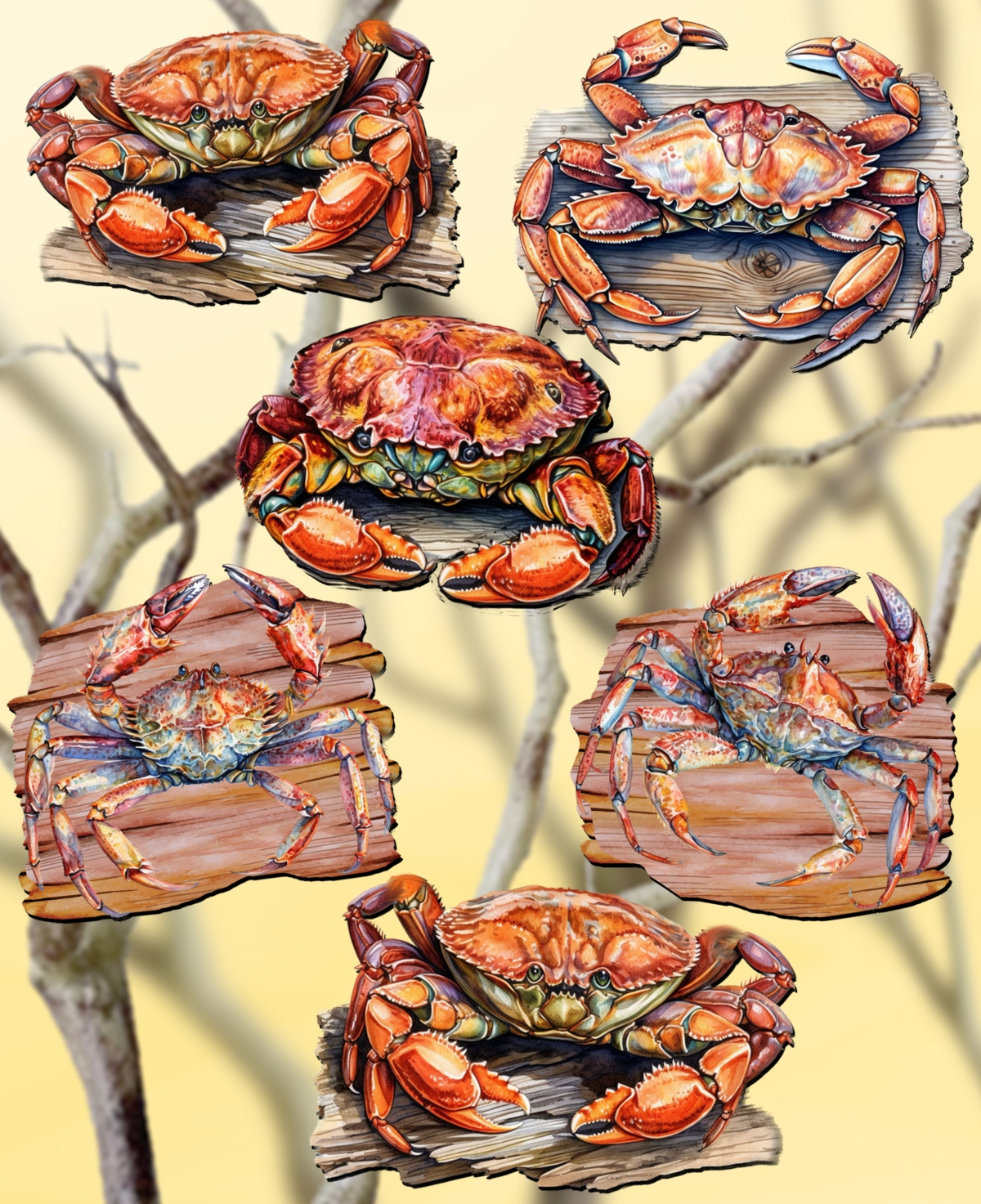 Designocracy Holiday Wooden Clip-on Ornaments Crabs Of The Wild Set Of 6 G. Debrekht In Multi Color