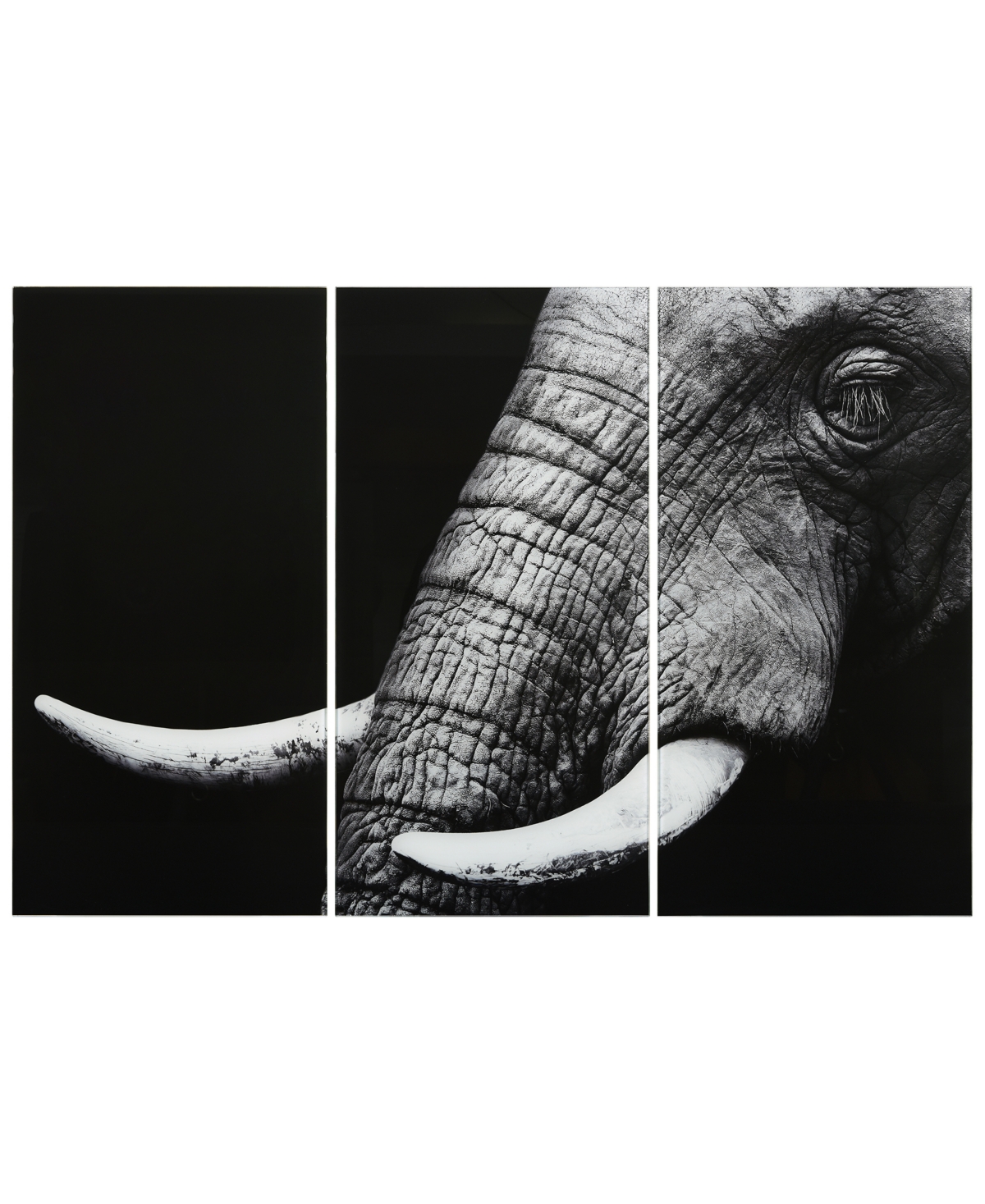 Empire Art Direct "elephant Abc" Frameless Free Floating Tempered Glass Panel Graphic Wall Art Set Of 3, 72" X 36" X 0 In Black
