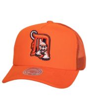  Mitchell & Ness Detroit Tigers Cooperstown MLB Evergreen Pro  Snapback Hat Cap - White : Sports & Outdoors