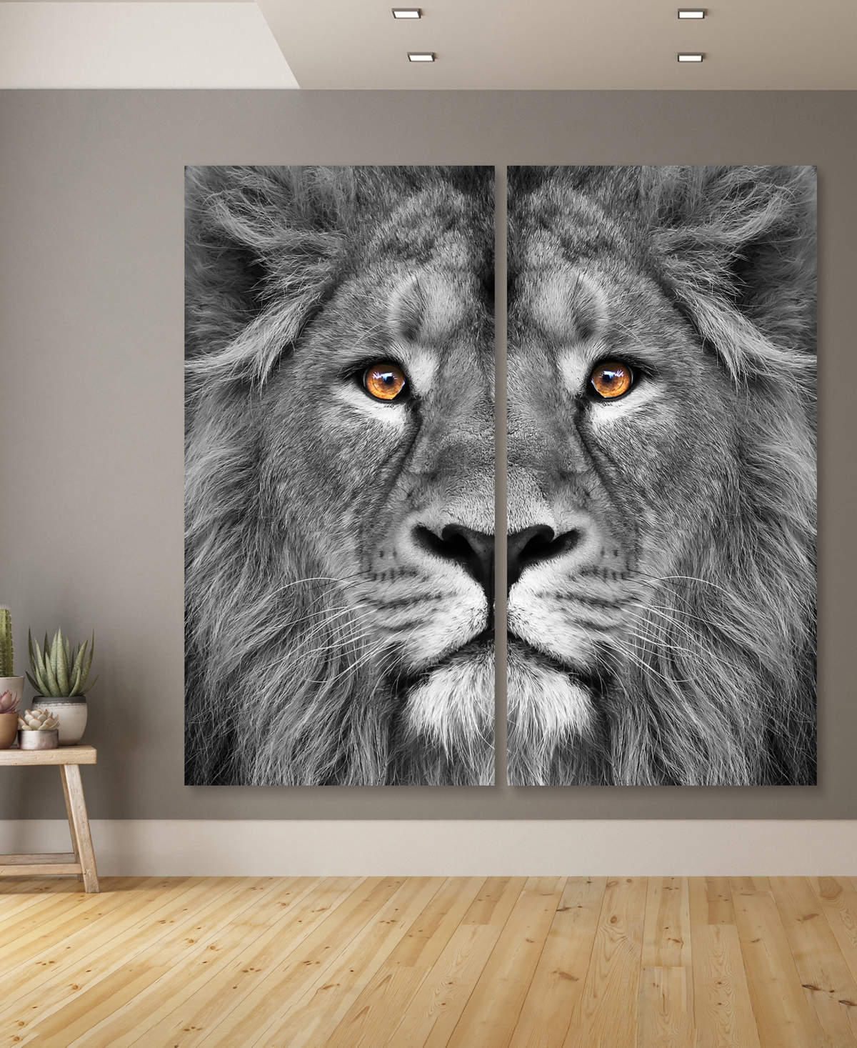 Empire Art Direct King Of The Jungle Ab Frameless Free Floating Tempered Glass Panel Graphic Wall Art, 72" X 36" X 0.2 In Gray