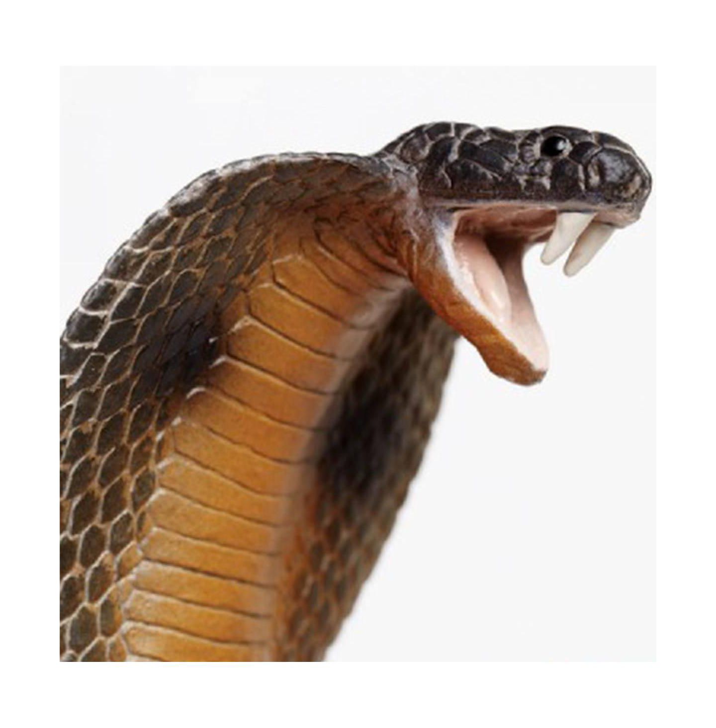 Фигурка Safari Ltd Cobra Incredible Creatures 1-Piece, от 18 лет — фото 2