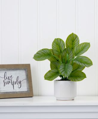 12" Artificial Calathea Plant with Decorative Planter
