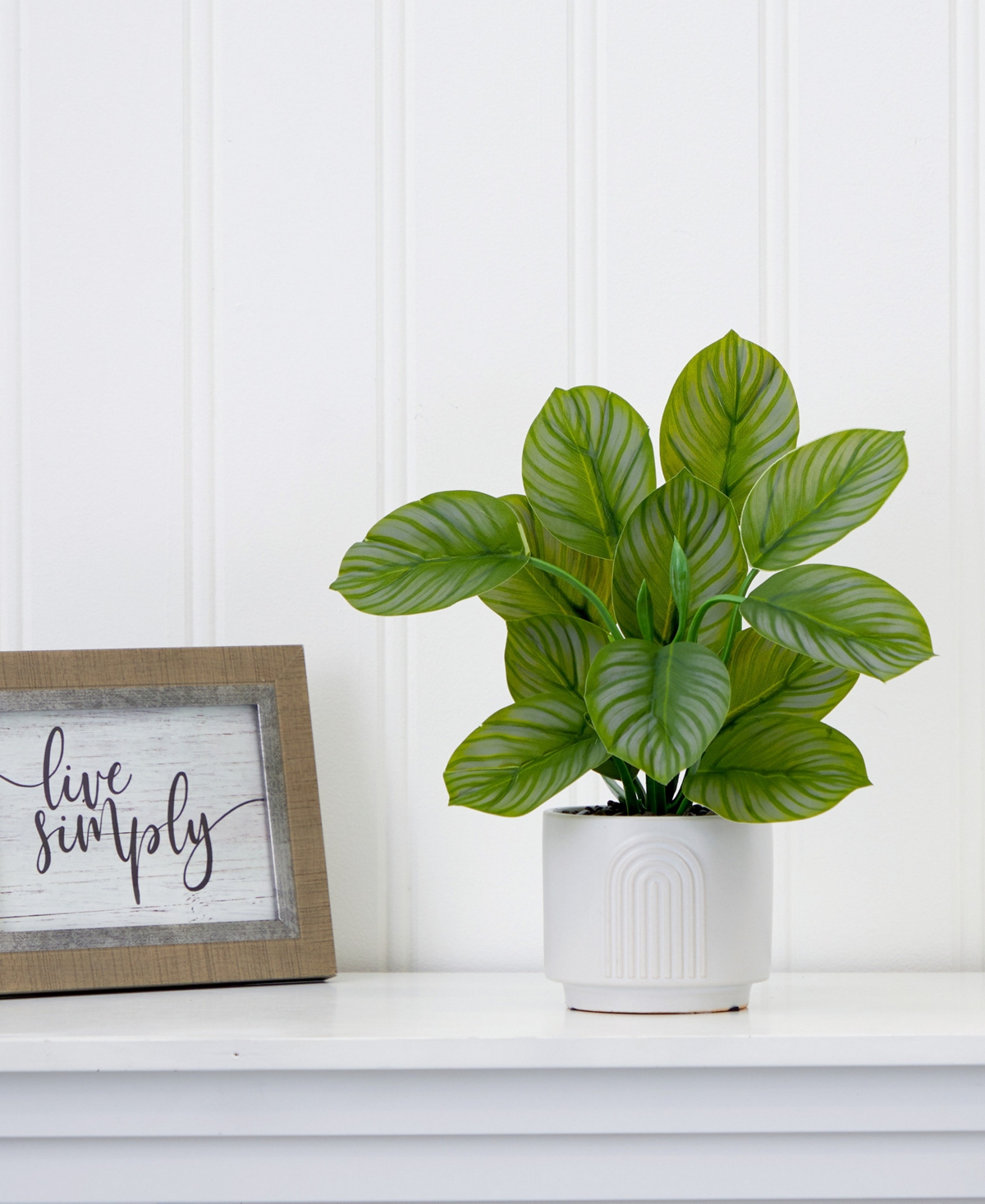 Shop Nearly Natural 12" Artificial Calathea Plant With Decorative Planter In Green