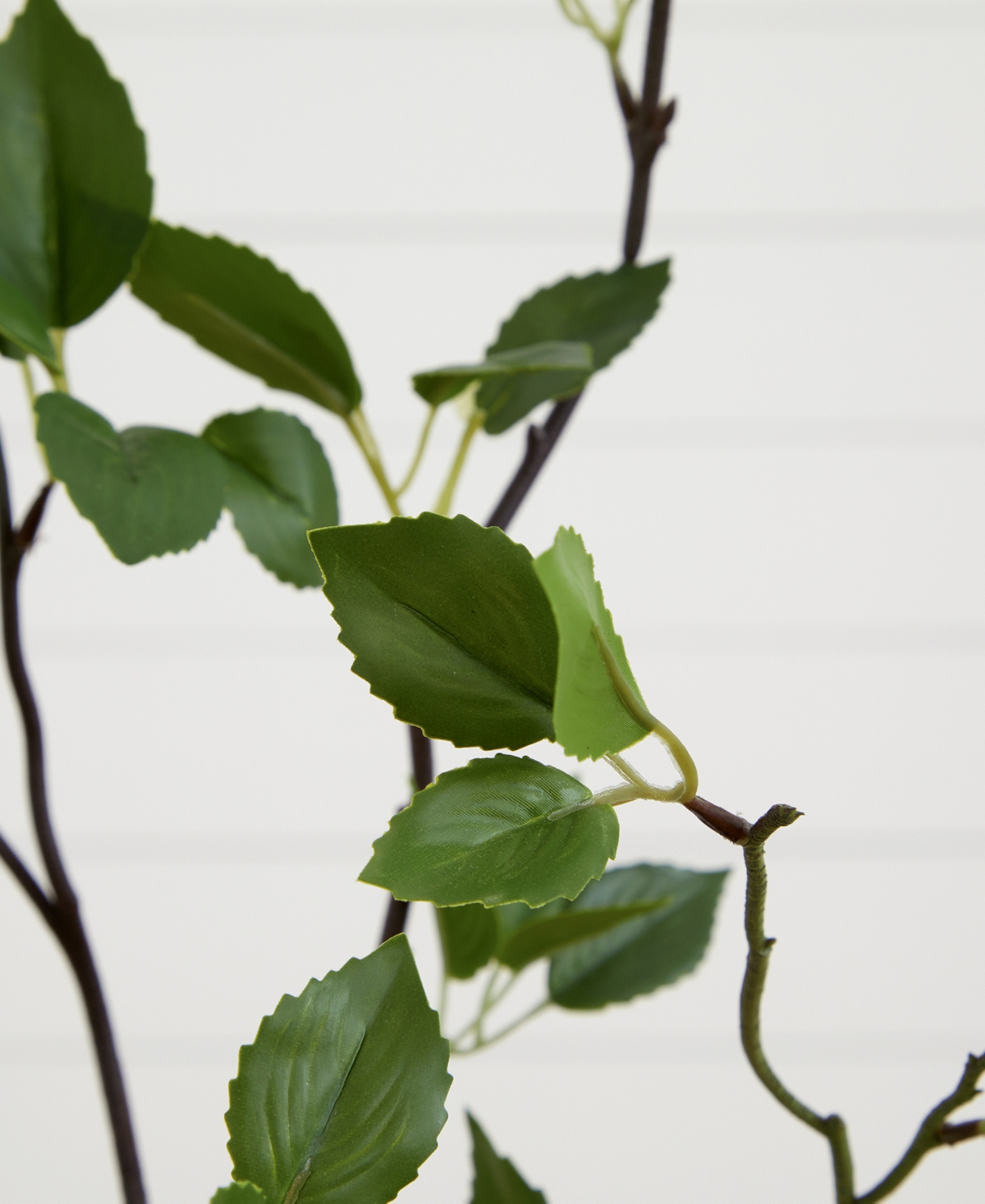 Nearly Natural 48" Minimalist Citrus Artificial Tree In Green