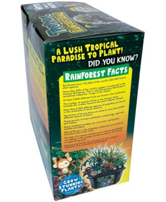 Biosphere Terrarium - Tropical Rainforest Jungle