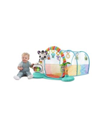 5-in-1 Tunnel of Fun