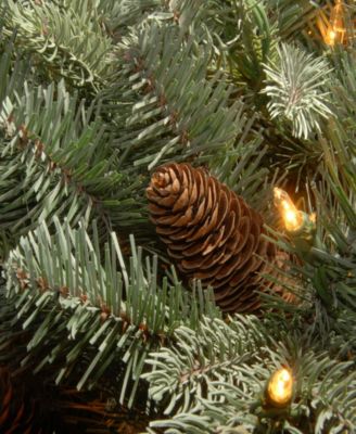 National Tree Company National Tree 20" "Feel Real" Frosted Artic Spruce Hanging Basket with Cones and 35 Warm White Battery Operated LED Lights with Timer