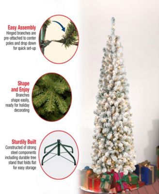 First Traditions 6' Acacia Pencil Slim Flocked Tree with Clear Lights