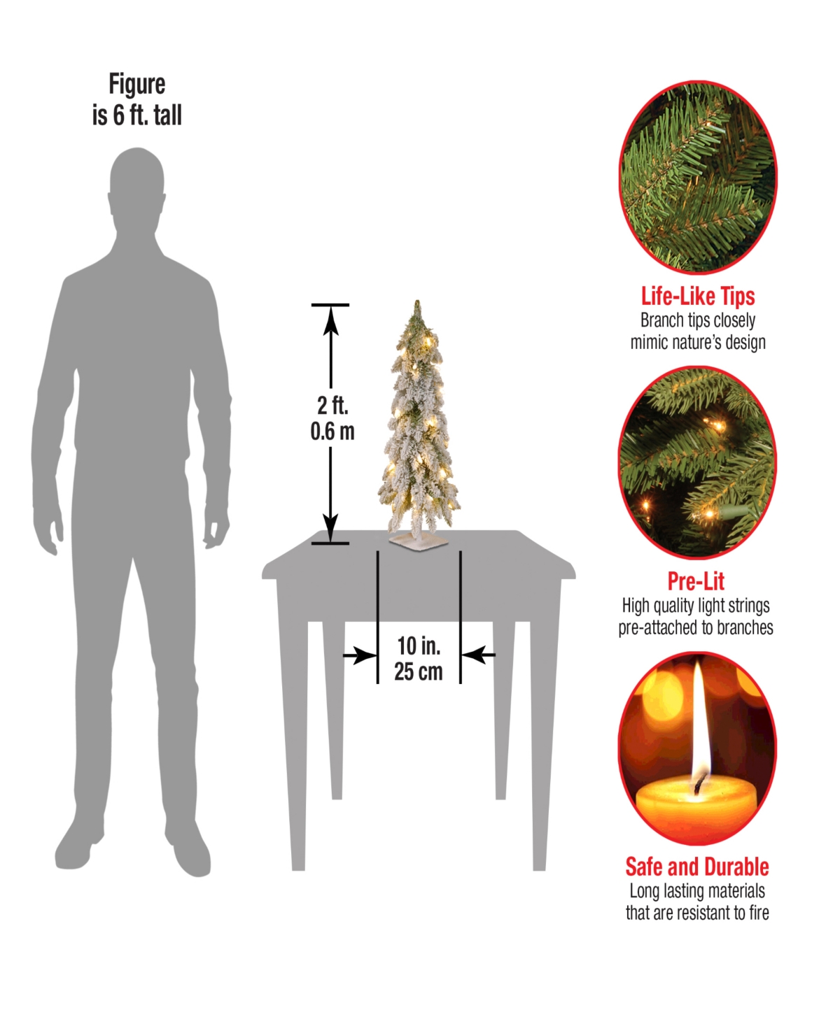 National Tree 24