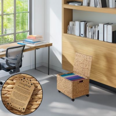 Rolling Filing Cabinet, Whitewash - Water Hyacinth Hanging File Folder Organizer on Wheels, Home Office Storage