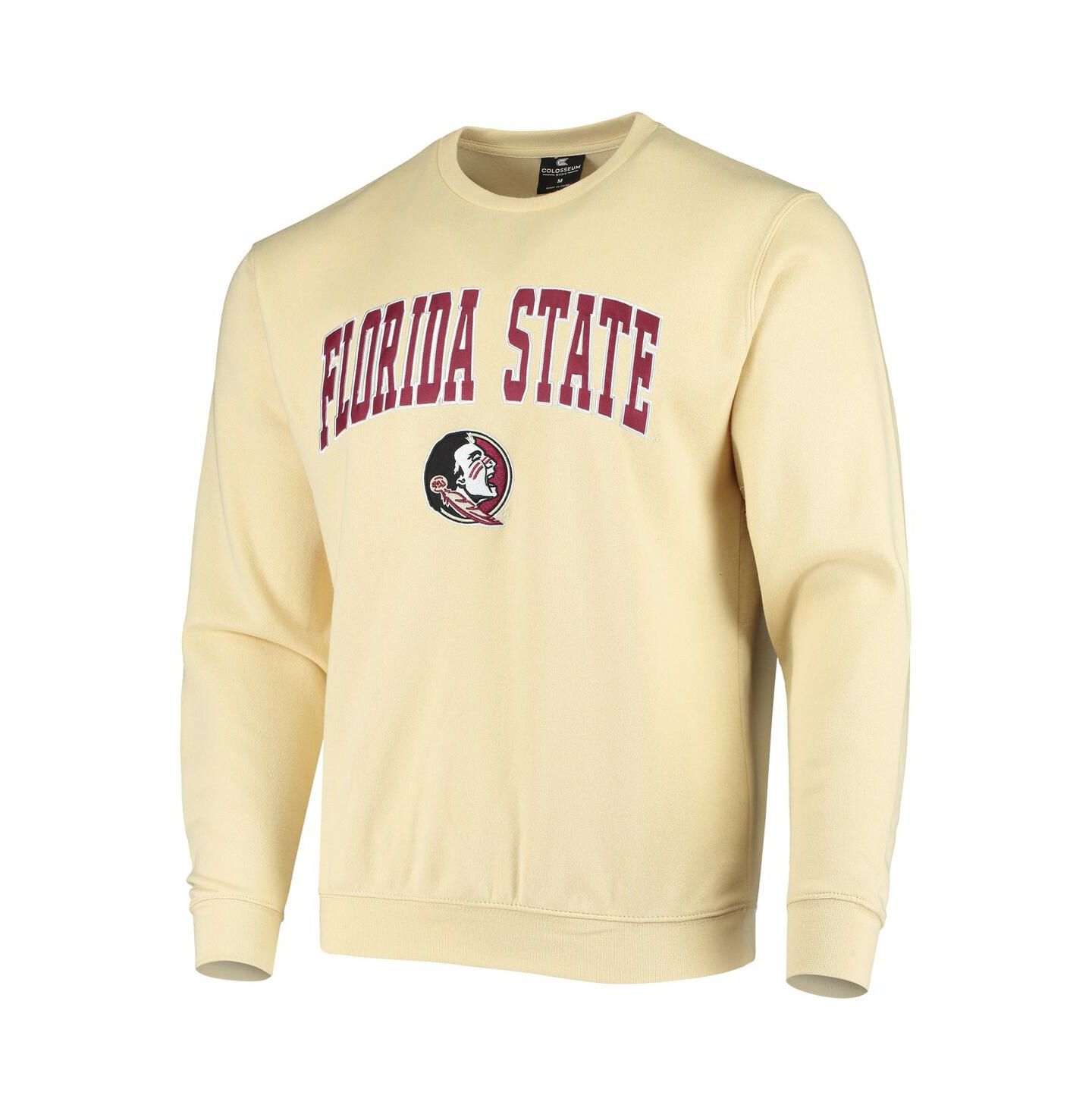 Мужская толстовка Colosseum Florida State Seminoles Arch & Logo Tackle Twill Pullover, цвет: Угольный — фото 5