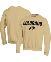 Champion sweatshirt mens sale online