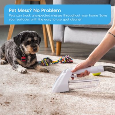 USA Portable Carpet Spot Cleaner &amp; Pet Stain Remover 16.9oz Chemical-Free Spot Cleaner Machine, Corded Lightweight Portable Fabric Pet Stain Wash Remover Deep Cleaning Stairs Couch Car Furniture