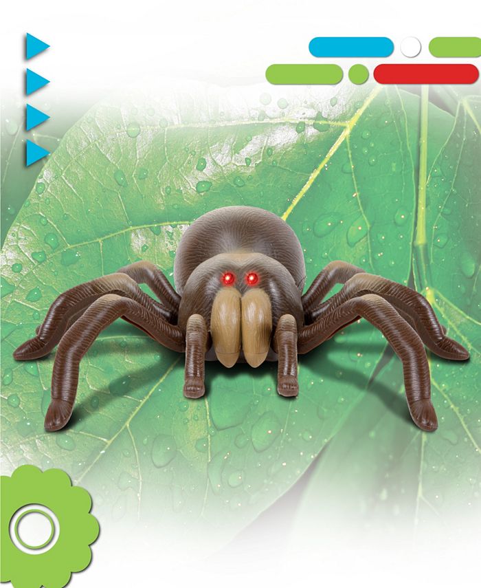 Discovery Kids Remote Control Moving Tarantula Spider Toy - Macy's
