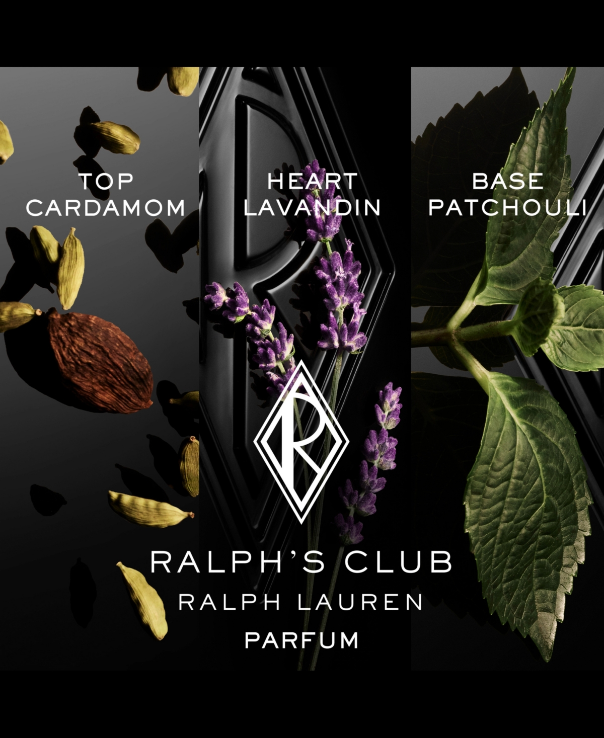 Shop Ralph Lauren Men's 2-pc. Ralph's Club Fragrance Gift Set In No Color