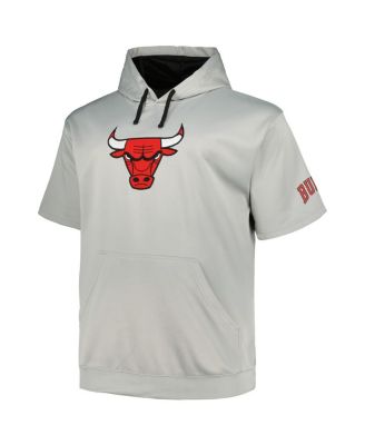 Men's Silver Chicago Bulls Big and Tall Logo Pullover Hoodie