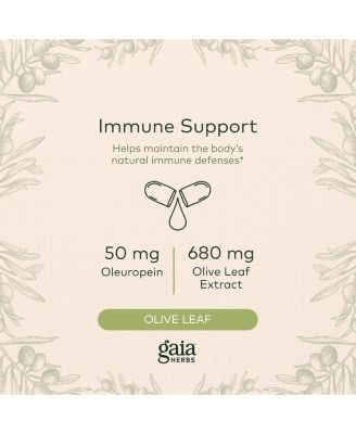 Olive Leaf - Traditional Immune Health Support - Immune System Supplement with Olive Leaf Extract and Oleuropein - 120 Liquid Phyto-Caps