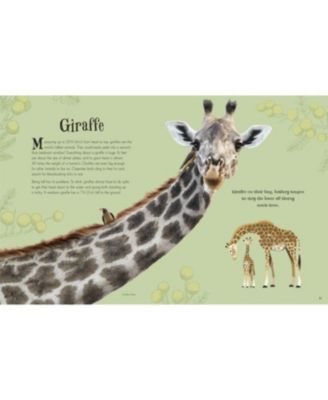 An Anthology of Intriguing Animals by DK