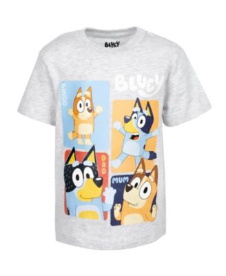 Little Boys 2 Pack T-Shirts