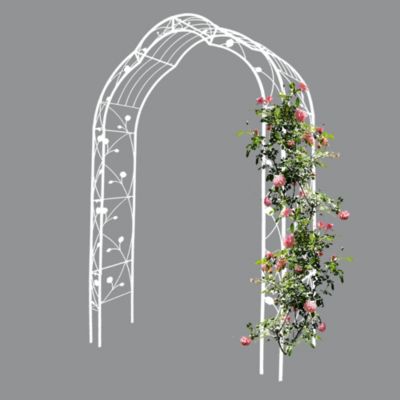 Customizable Metal Garden Arch for Weddings and Events