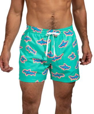 Chubbies dinosaur swim trunks online