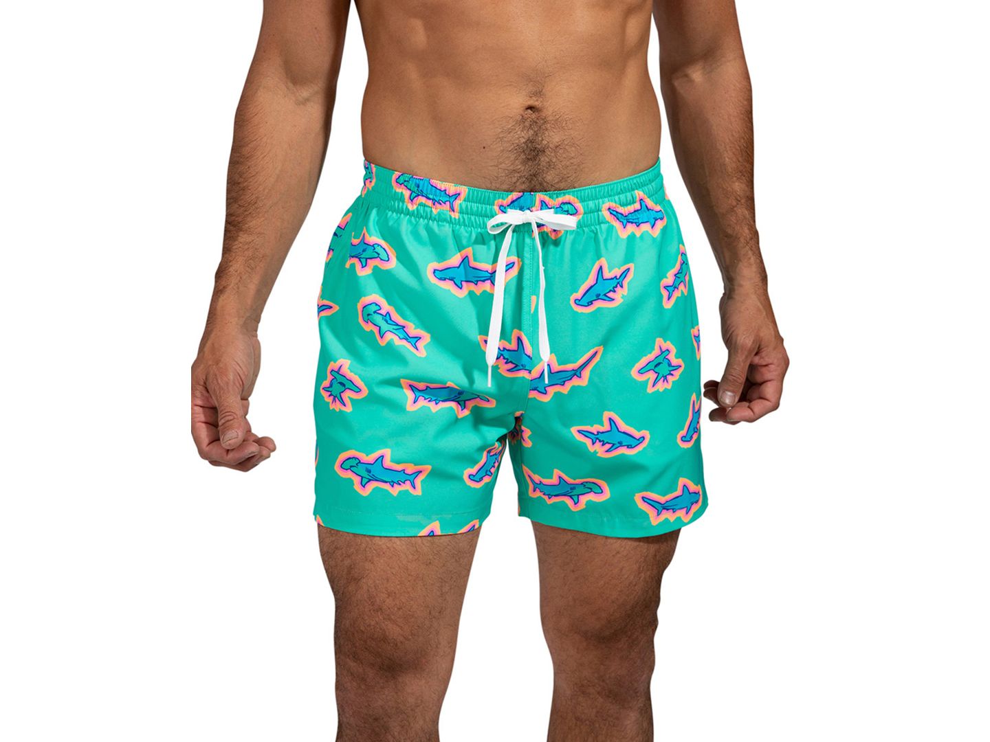 Плавки The Apex Swimmers 5-1/2" для мужчин — Chubbies, цвет: Мятный — фото 1