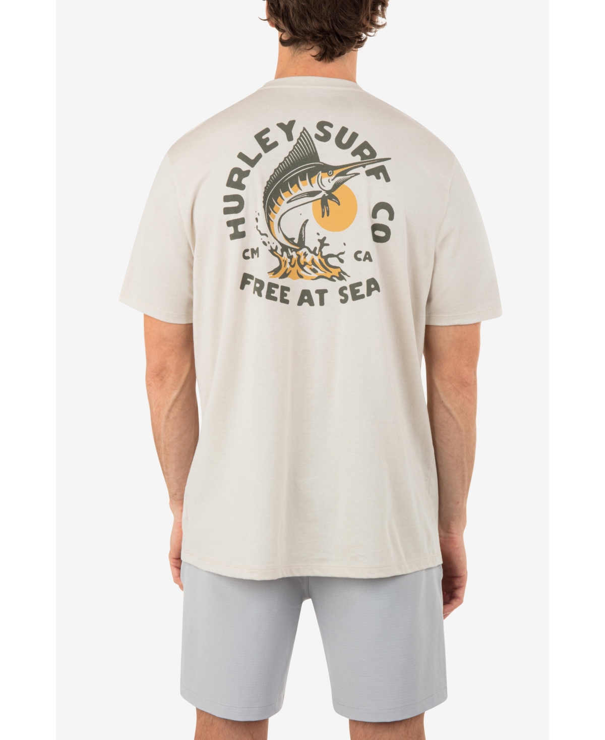 Shop Hurley Men's Everyday Free At Sea Short Sleeves T-shirt In Bone