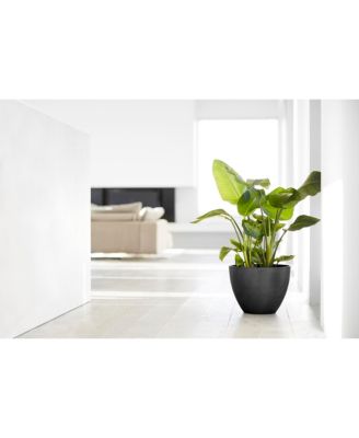 Antwerp Modern Indoor and Outdoor Planter, 12in