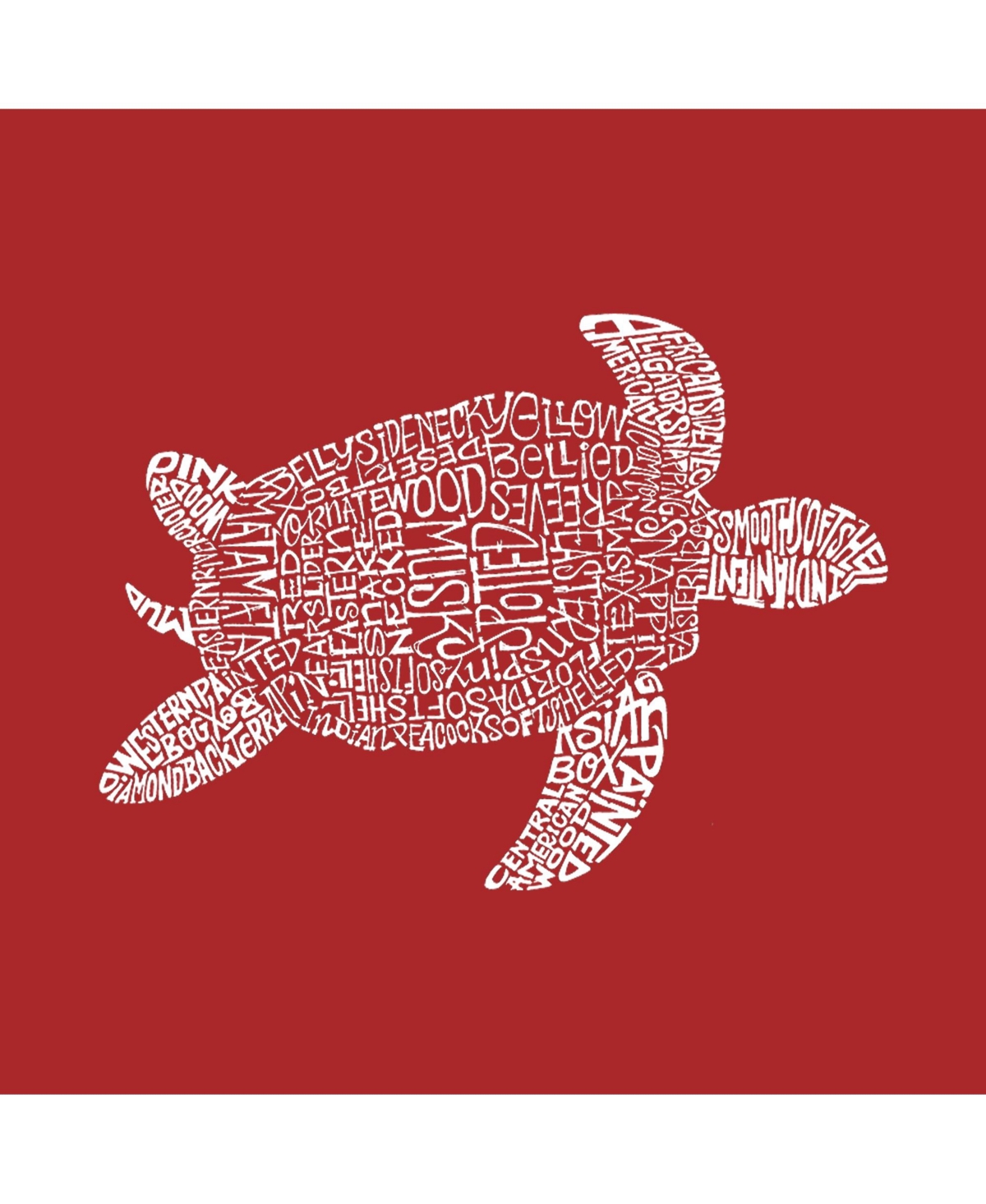Boy's Word Art T-shirt - Turtle