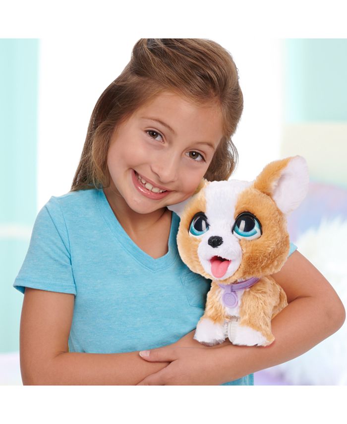 FurReal Friends Poop-A-Lots Corgi Interactive Toy, 8