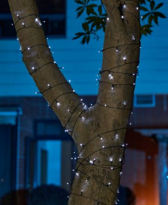 38.5' Set of 2 Solar String Light with 100 Lights