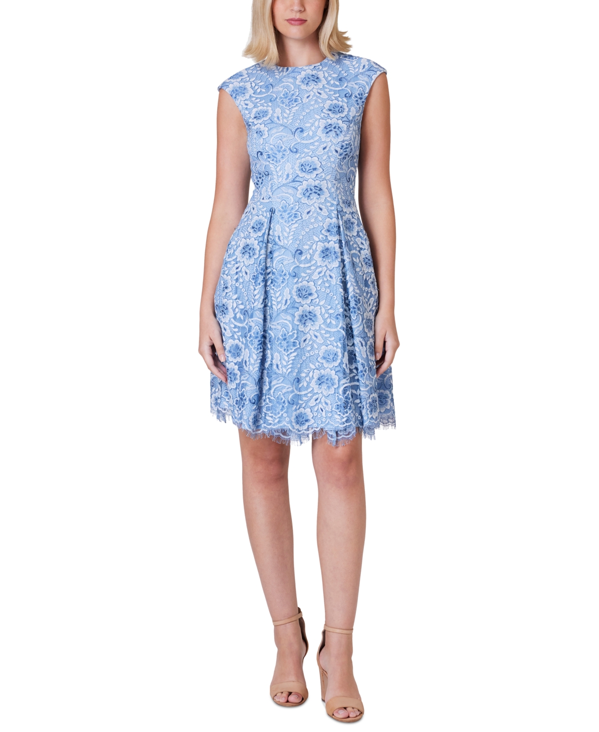Women's Lace Fit & Flare Dress - Periwinkle