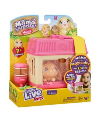 Mama Surprise Minis - Lil' Bunny