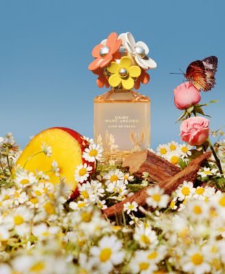 Daisy Ever So Fresh Eau de Parfum Fragrance Collection