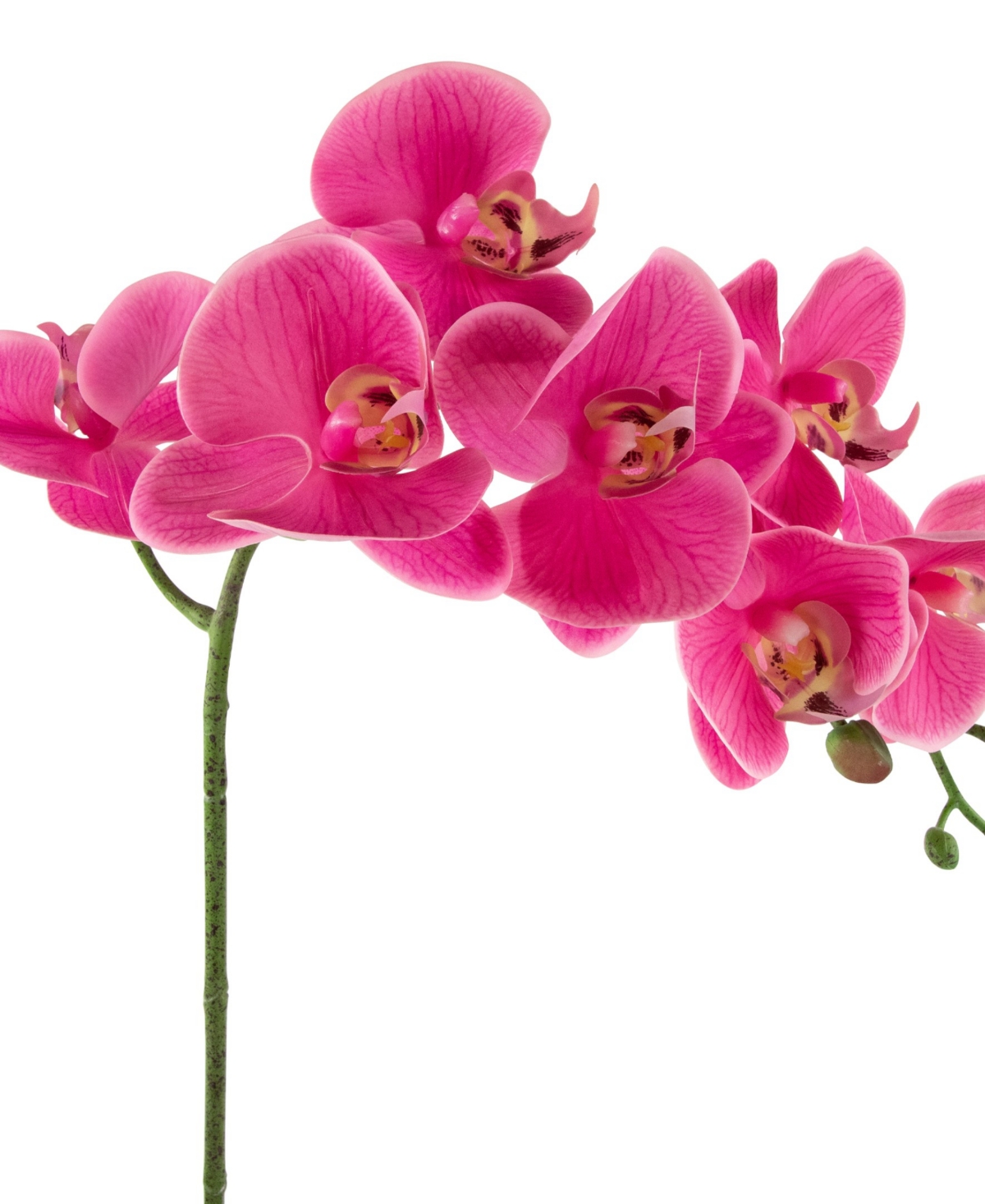 Shop Northlight 2" Artificial Spring Orchids In A Striped Ceramic Pot In Pink