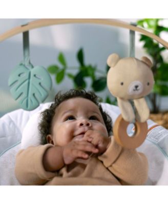 Cozy Spot™ Soothing Bouncer