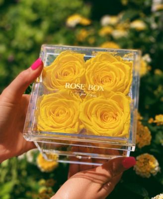 Jewelry box of Bright Yellow Long Lasting Preserved Real Roses, 4 Rose