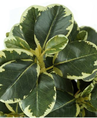 14" Indoor Artificial Ficus Plants with Decorative Black Pots, Set Of 2