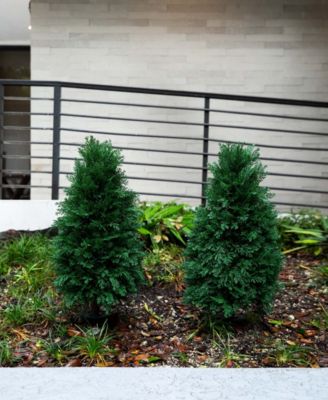 2.5ft. UV Resistant Artificial Cedar Plant with Integrated Ground Stake Indoor/Outdoor - Set of 2