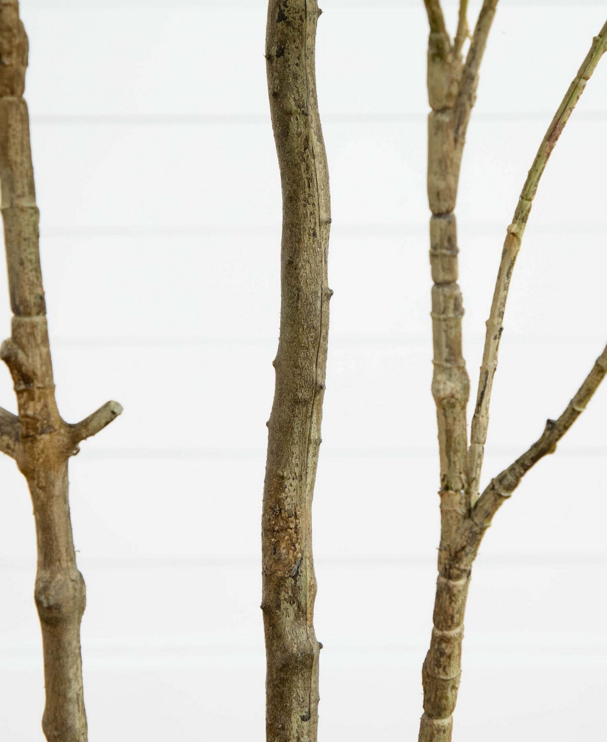Nearly Natural 7ft. Artificial Minimalist Japanese Pieris Tree With Real Touch Leaves In Green