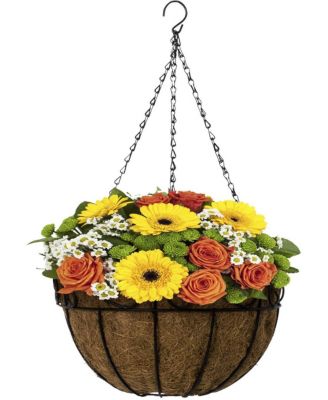 Hanging Planter Baskets W/Coco Liner (4-Pack)