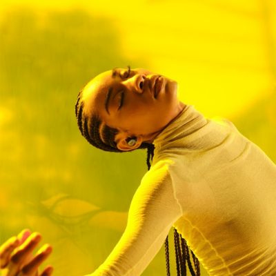 QuietComfort Ultra Wireless Noise Cancelling Earbuds