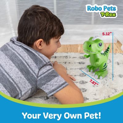 Robo Pets T-Rex Dinosaur Toy for Kids