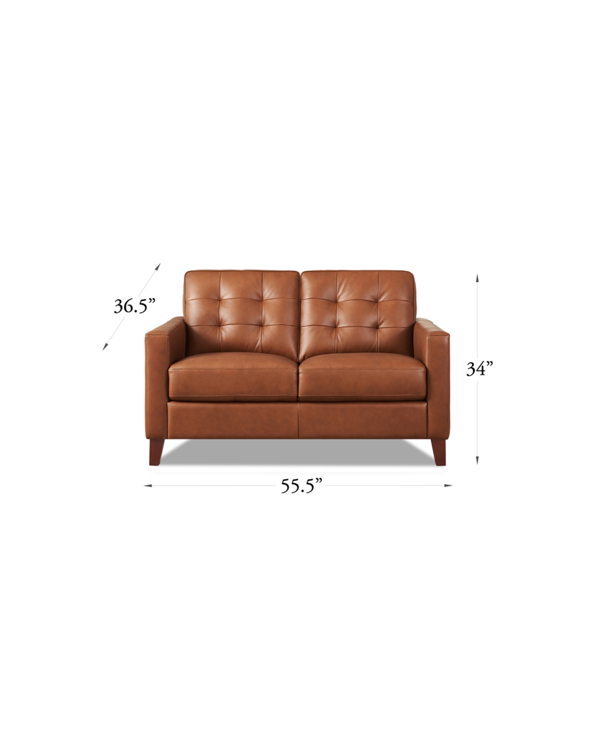 HYDELINE AIDEN 56" TOP GRAIN LEATHER LOVESEAT 