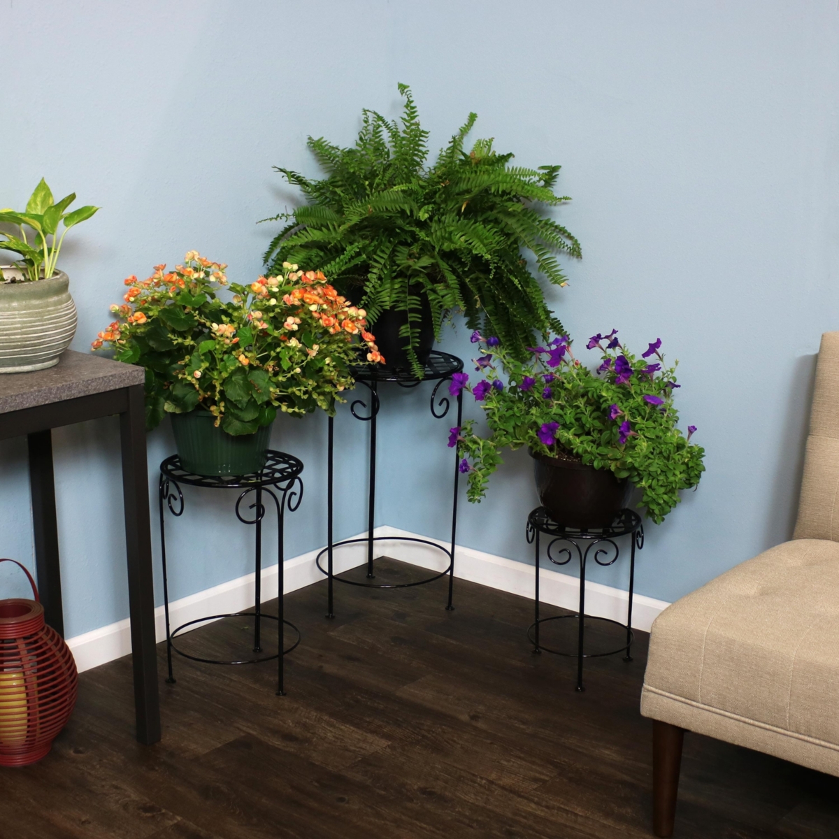 Sunnydaze DecorIron in, in, Plant Stand with Scroll Design - Black