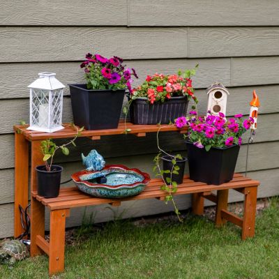 Outdoor Meranti Wood with Teak Oil Finish 2-Tiered Decorative Succulent Flower Plant Shelf Stand - 24" - Brown