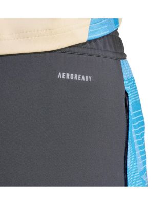 Men's Gray Argentina National Team 2024 AeroReady Training Pants