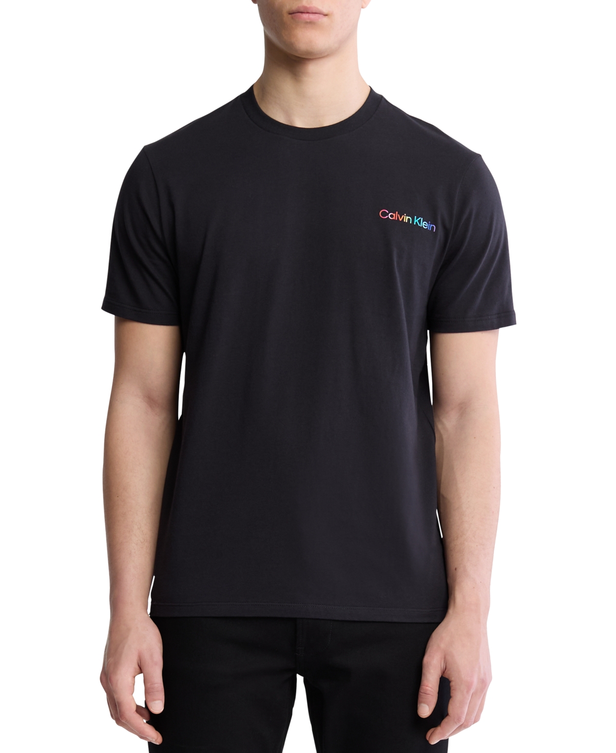 Men's Freedom Is Pride Logo T-Shirt - Black Beauty